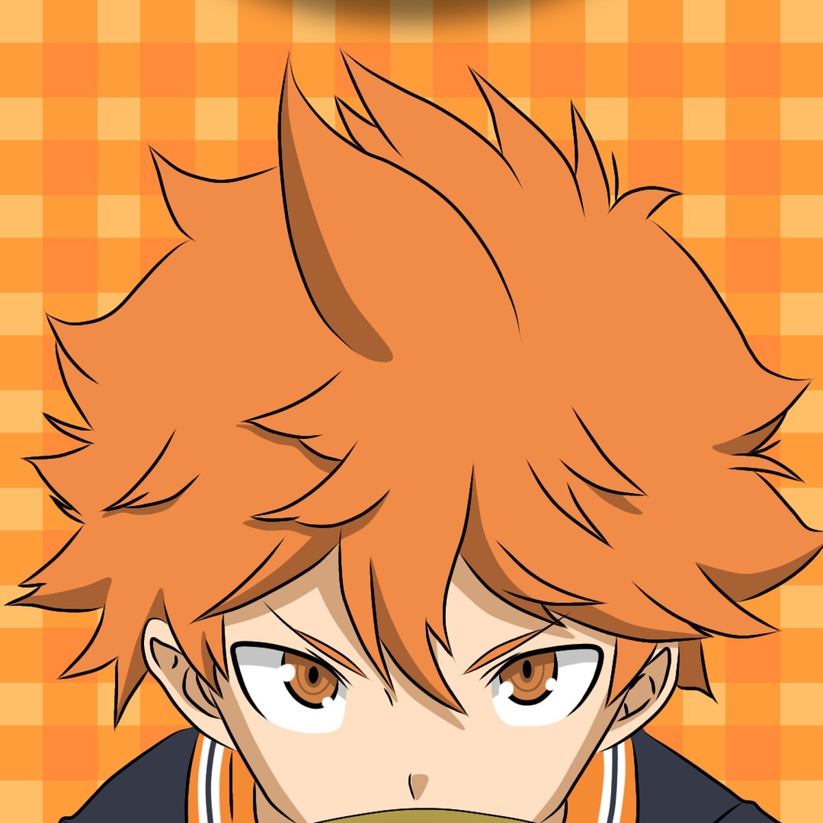 Shoyo Hinata | Haikyuu