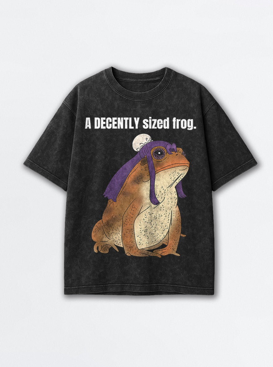 A Decently Sized Frog – Black Acid Wash Tee – mockup | Apothecary Diaries